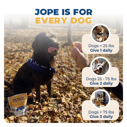 Jope Hip & Joint Dog Chews 60 Count