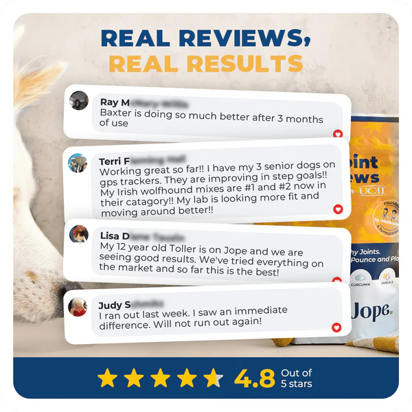 Jope Hip & Joint Dog Chews 60 Count