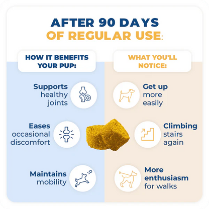 Jope Hip & Joint Dog Chews 60 Count
